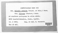 Image Associated With the Occurrence